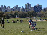 Click to see PA280175.JPG